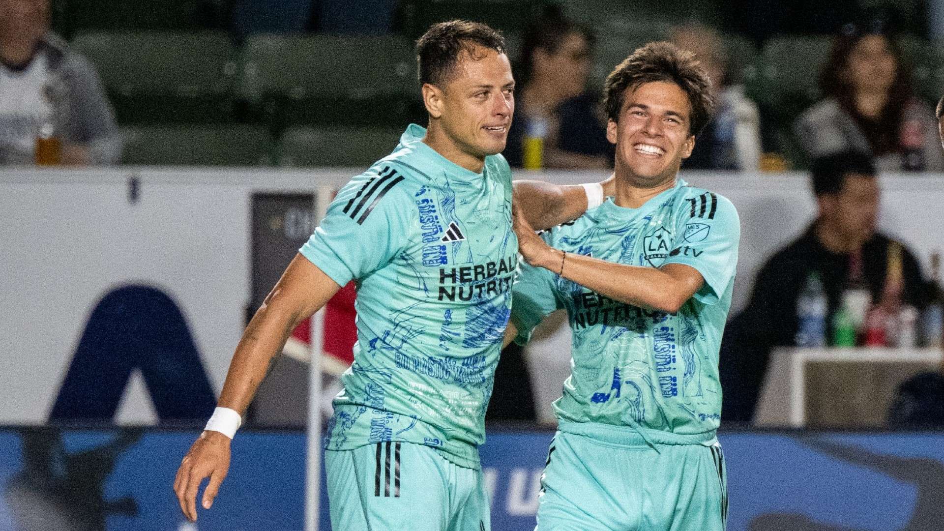 活动内容 活动内容